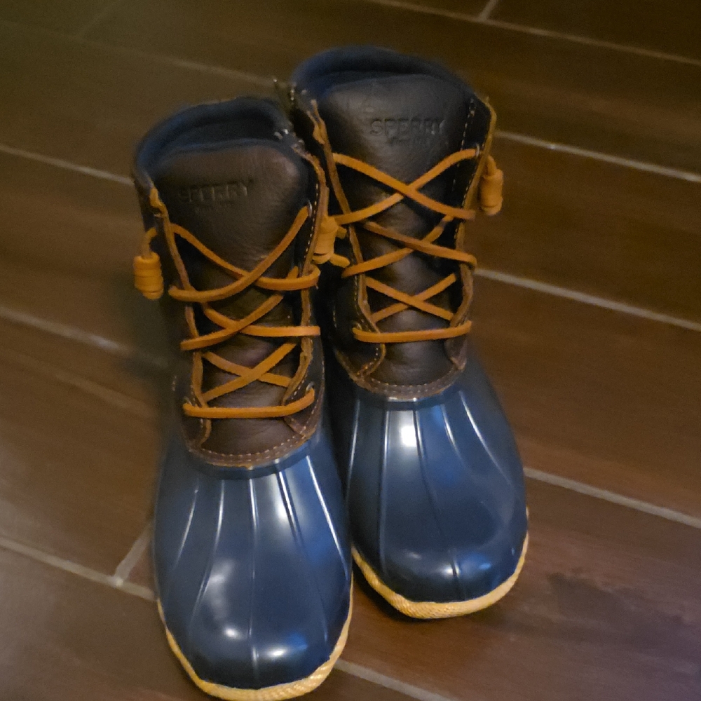 Sperry Navy and Dark Brown Boots